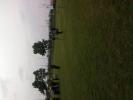 foto12.jpg