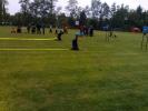 img-20150524-135014.jpg