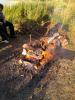 img-20140630-195629.jpg
