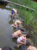 img-4636.jpg