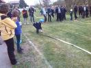 img-20140412-125013.jpg