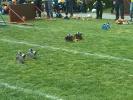 img-20140412-133910.jpg