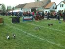 img-20140412-133934.jpg